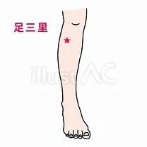 足三里