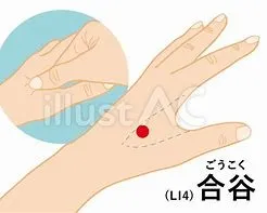 万能のツボ合谷(堺市のふじわら鍼灸整骨院)