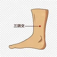 女性の味方のツボ、三陰交